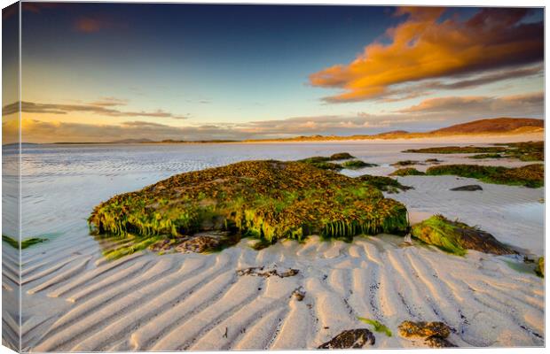 Clachan Sands Canvas Print by Steve Smith