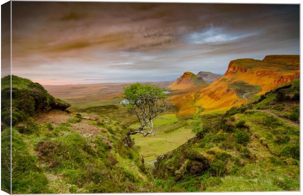 Good Morning Quiraing Canvas Print by Steve Smith