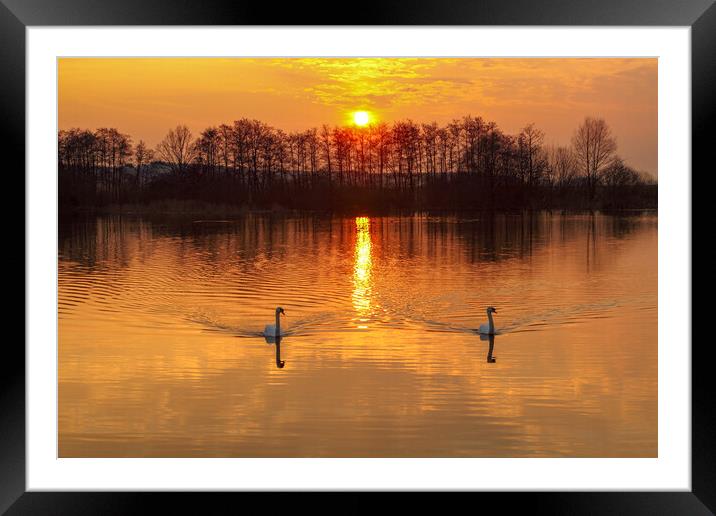 The River Waal Framed Mounted Print by Steve Smith