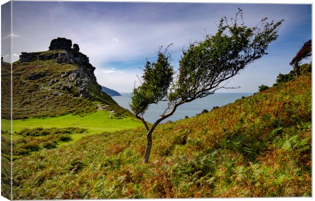 Valley Of The Rocks Canvas Print by Steve Smith