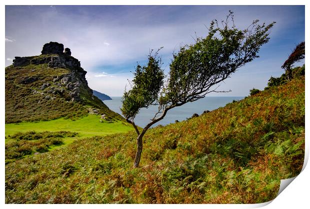 Valley Of The Rocks Print by Steve Smith