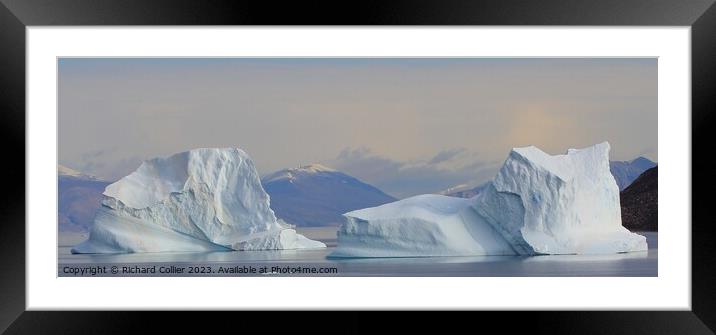 Icebergs at Eleanor Bay - Greenland Framed Mounted Print by Richard Collier