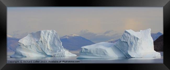 Icebergs at Eleanor Bay - Greenland Framed Print by Richard Collier