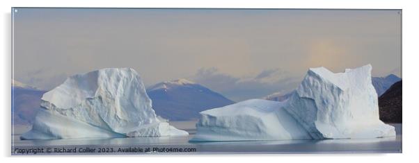 Icebergs at Eleanor Bay - Greenland Acrylic by Richard Collier