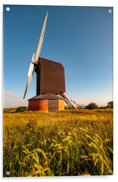 Iconic Brill Windmill Acrylic by Steve Smith
