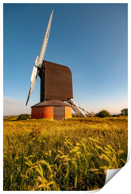 Iconic Brill Windmill Print by Steve Smith