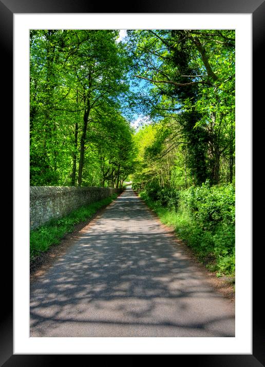 Tranquil Pathway to Easby Abbey Framed Mounted Print by Steve Smith