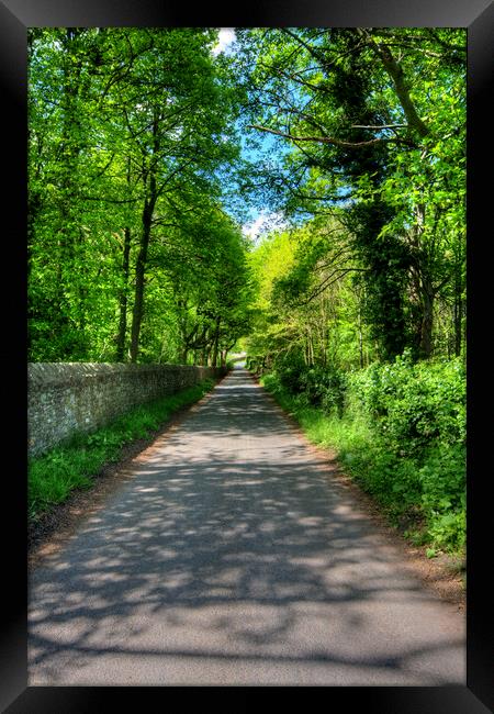 Tranquil Pathway to Easby Abbey Framed Print by Steve Smith