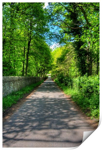 Tranquil Pathway to Easby Abbey Print by Steve Smith