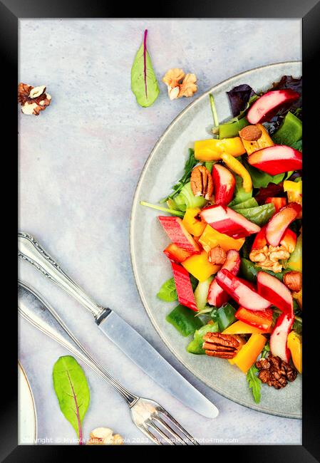 Spring light salad with rhubarb, healthy food. Framed Print by Mykola Lunov Mykola