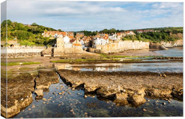 Seagull and Rock pools, Robin Hoods Bay Canvas Print by Tim Hill