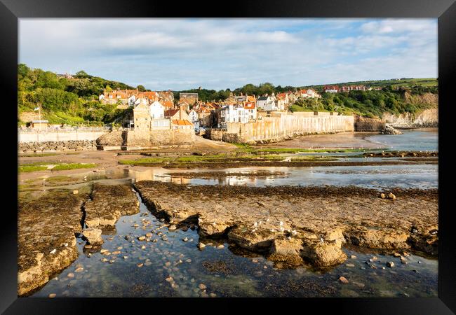 Seagull and Rock pools, Robin Hoods Bay Framed Print by Tim Hill