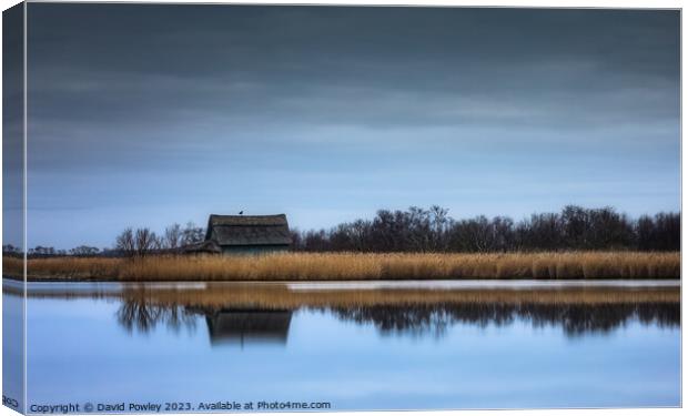 Golden Tranquility at Horsey Mere Canvas Print by David Powley
