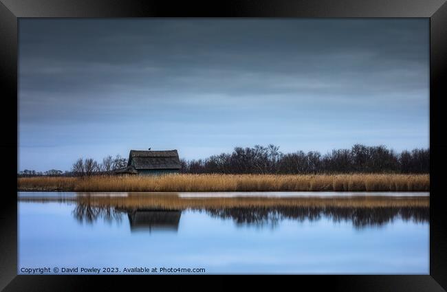 Golden Tranquility at Horsey Mere Framed Print by David Powley