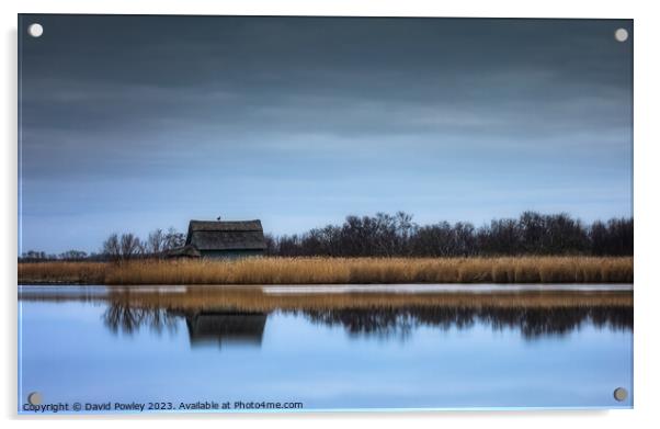Golden Tranquility at Horsey Mere Acrylic by David Powley