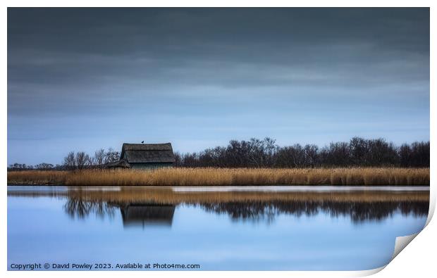 Golden Tranquility at Horsey Mere Print by David Powley