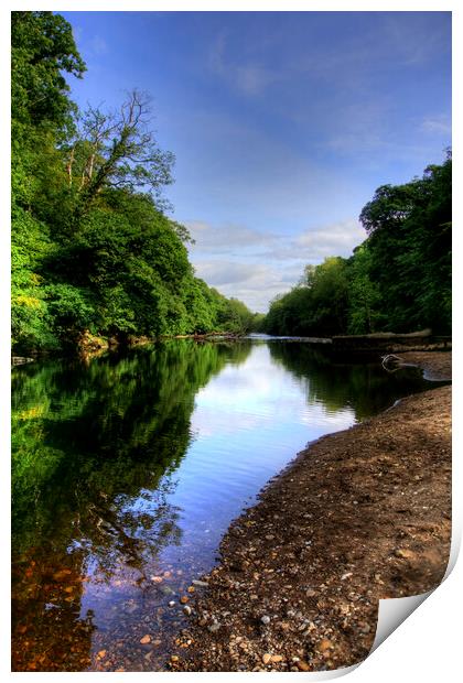 River Swale Print by Steve Smith