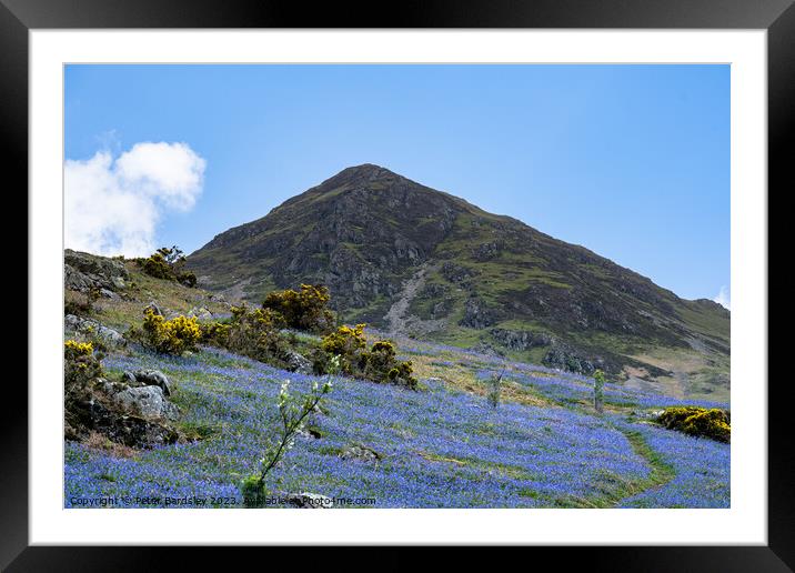 Lakeland Fell in Spring Framed Mounted Print by Peter Bardsley