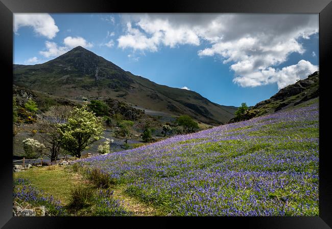 Spring in the Rannerdale Valley  Framed Print by Peter Bardsley