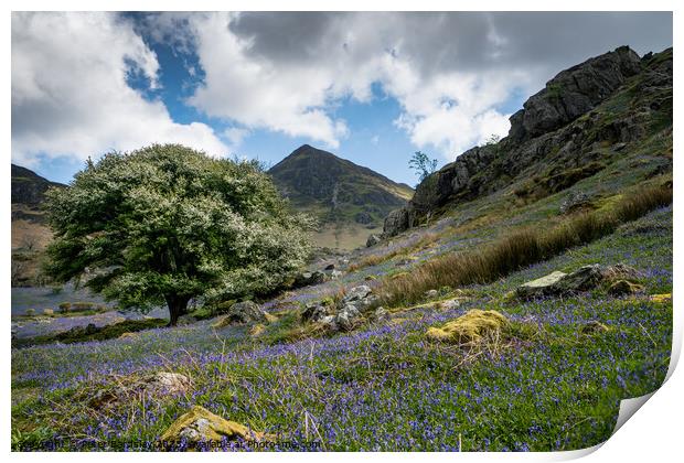 Outdoor mountain Print by Peter Bardsley