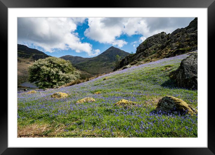 Rannerdale in Spring Framed Mounted Print by Peter Bardsley