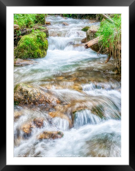 Stream flowing smoothly in the forest. Framed Mounted Print by Cristi Croitoru