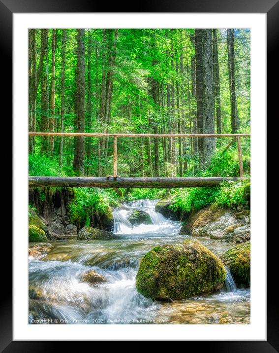 Stream flowing smoothly in the forest. Framed Mounted Print by Cristi Croitoru