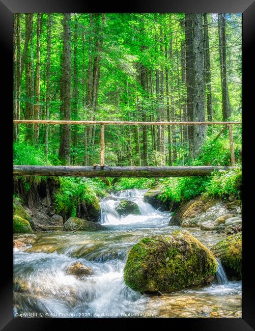 Stream flowing smoothly in the forest. Framed Print by Cristi Croitoru