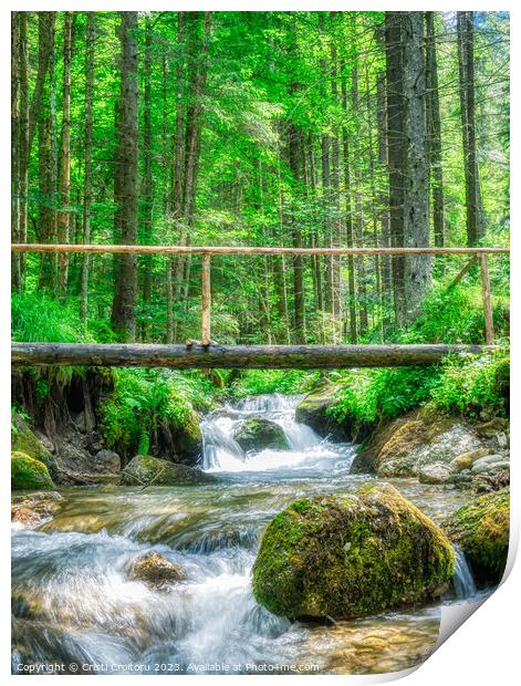 Stream flowing smoothly in the forest. Print by Cristi Croitoru