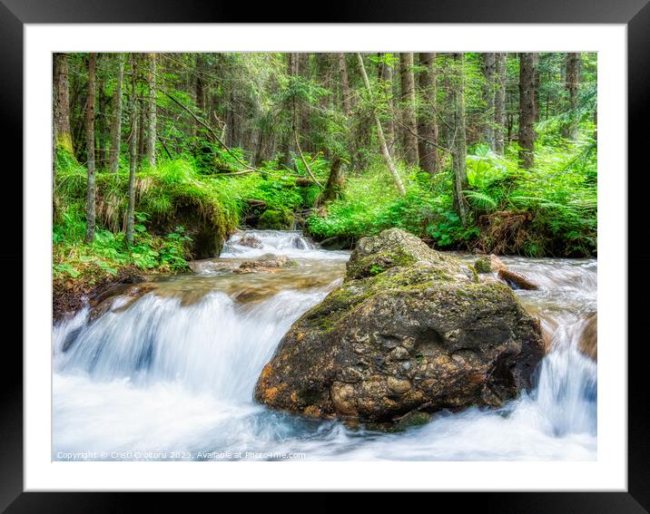 Stream flowing smoothly in the forest. Framed Mounted Print by Cristi Croitoru
