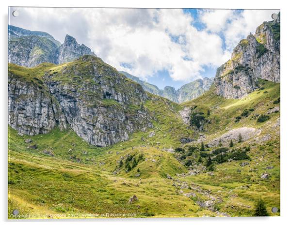 Malaiesti Valley in the Bucegi Mountain. Acrylic by Cristi Croitoru