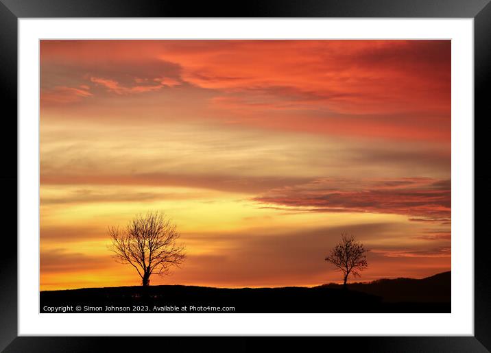Tree silhouettes sunset Framed Mounted Print by Simon Johnson
