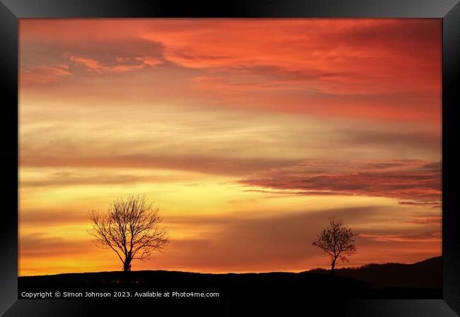 Tree silhouettes sunset Framed Print by Simon Johnson