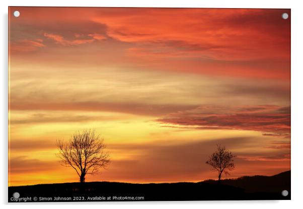 Tree silhouettes sunset Acrylic by Simon Johnson