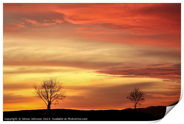 Tree silhouettes sunset Print by Simon Johnson