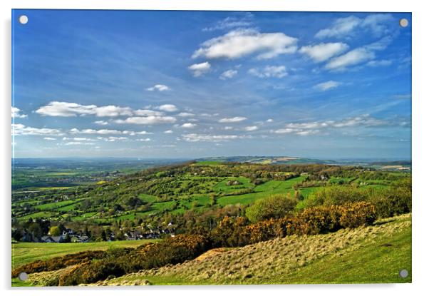 View from Cleeve Hill, Cotswolds    Acrylic by Darren Galpin