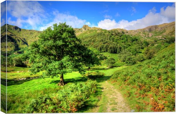 Dovedale Canvas Print by Steve Smith