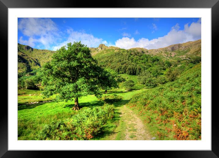 Dovedale Framed Mounted Print by Steve Smith
