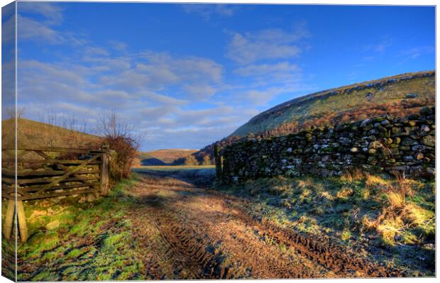 Gateway To The Dales Canvas Print by Steve Smith