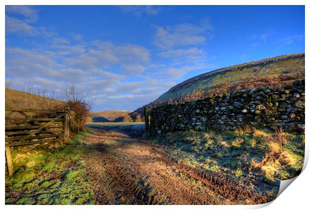Gateway To The Dales Print by Steve Smith