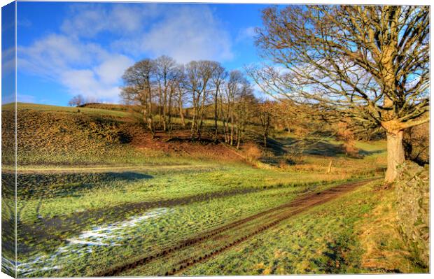 Muker Meadows Canvas Print by Steve Smith