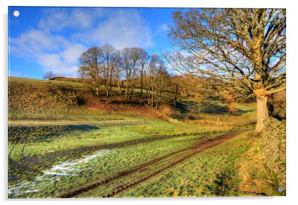 Muker Meadows Acrylic by Steve Smith