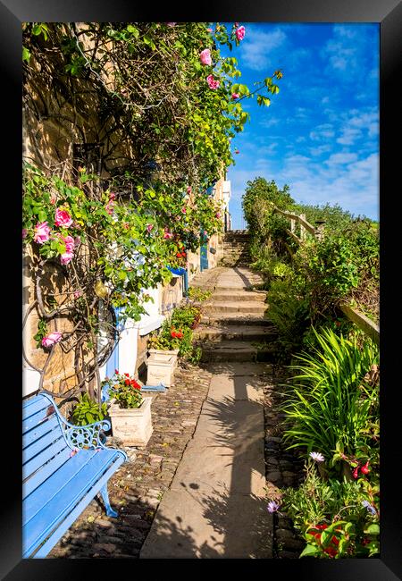 Messily beautiful Robin Hoods Bay pathway Framed Print by Tim Hill