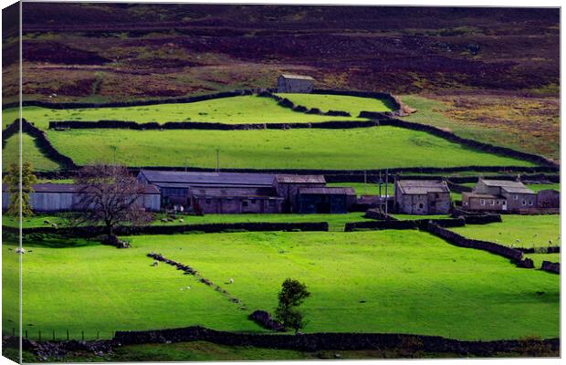 Wensleydale Canvas Print by Steve Smith