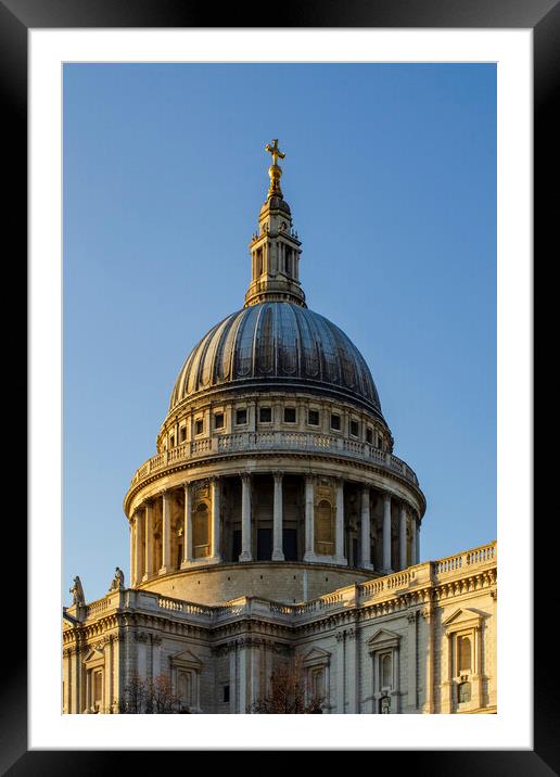 St Paul's Cathedral Framed Mounted Print by Steve Smith