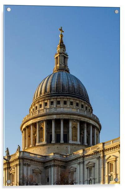 St Paul's Cathedral Acrylic by Steve Smith