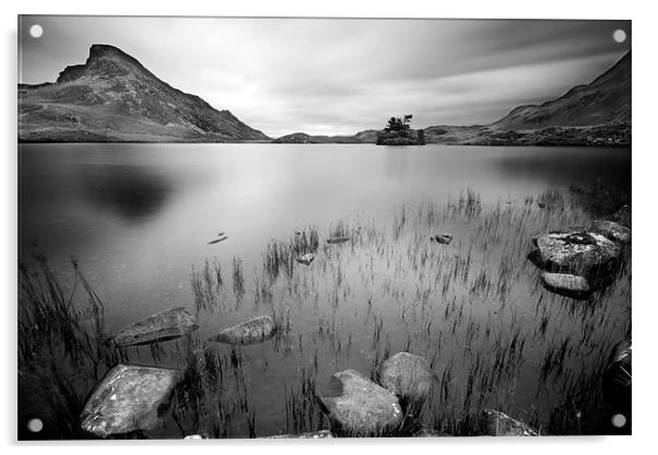 Tal y llyn lake Acrylic by Tony Bates