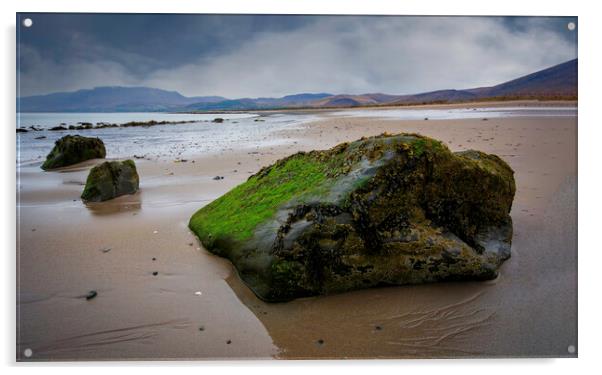 Castlegregory Beach Acrylic by Steve Smith