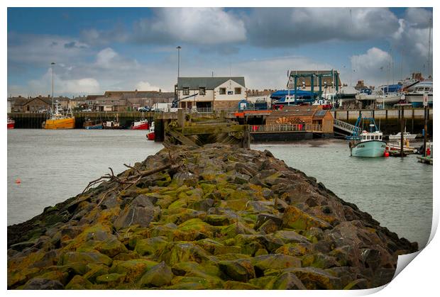 Blyth Harbour Print by Steve Smith