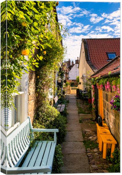 Yellow roses at Robin hoods Bay Canvas Print by Tim Hill